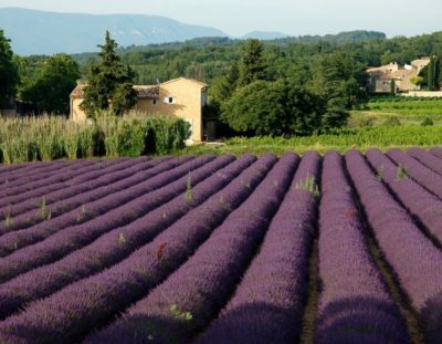 15 Tips for Your Trip to France