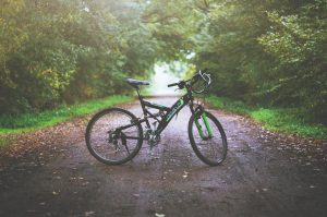 biking in France, Loire Valley biking, Loire Valley,