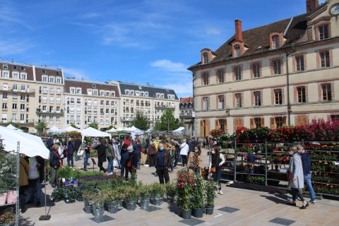 Discover Fontainebleau » Oliver's France