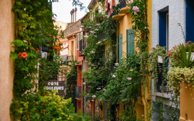 Discover Collioure and Banyuls-sur-Mer